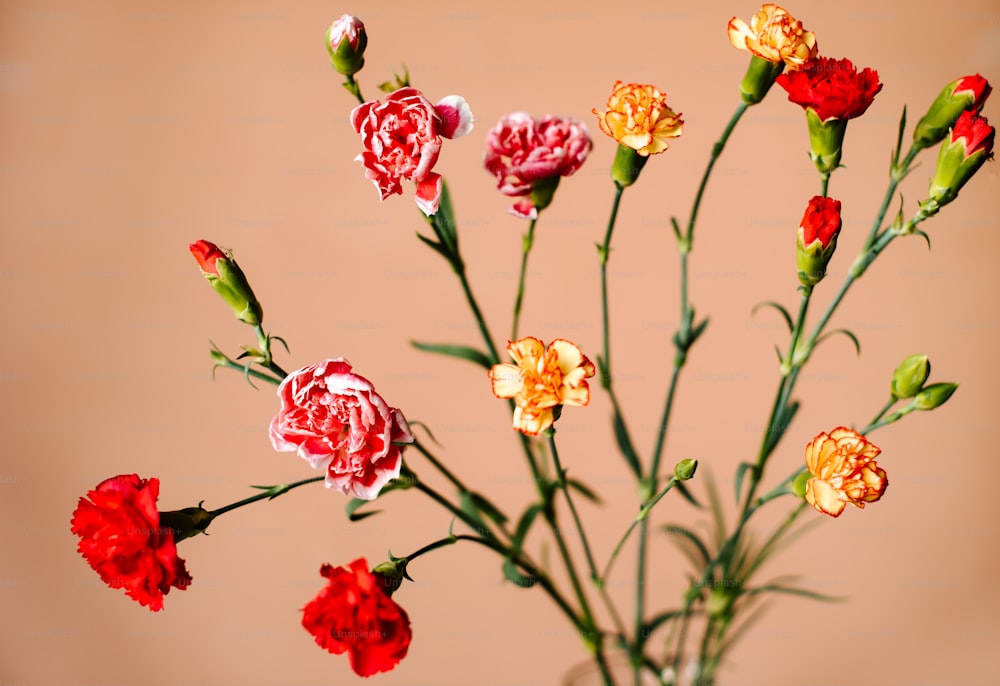 eine Vase gefüllt mit roten und gelben Blumen