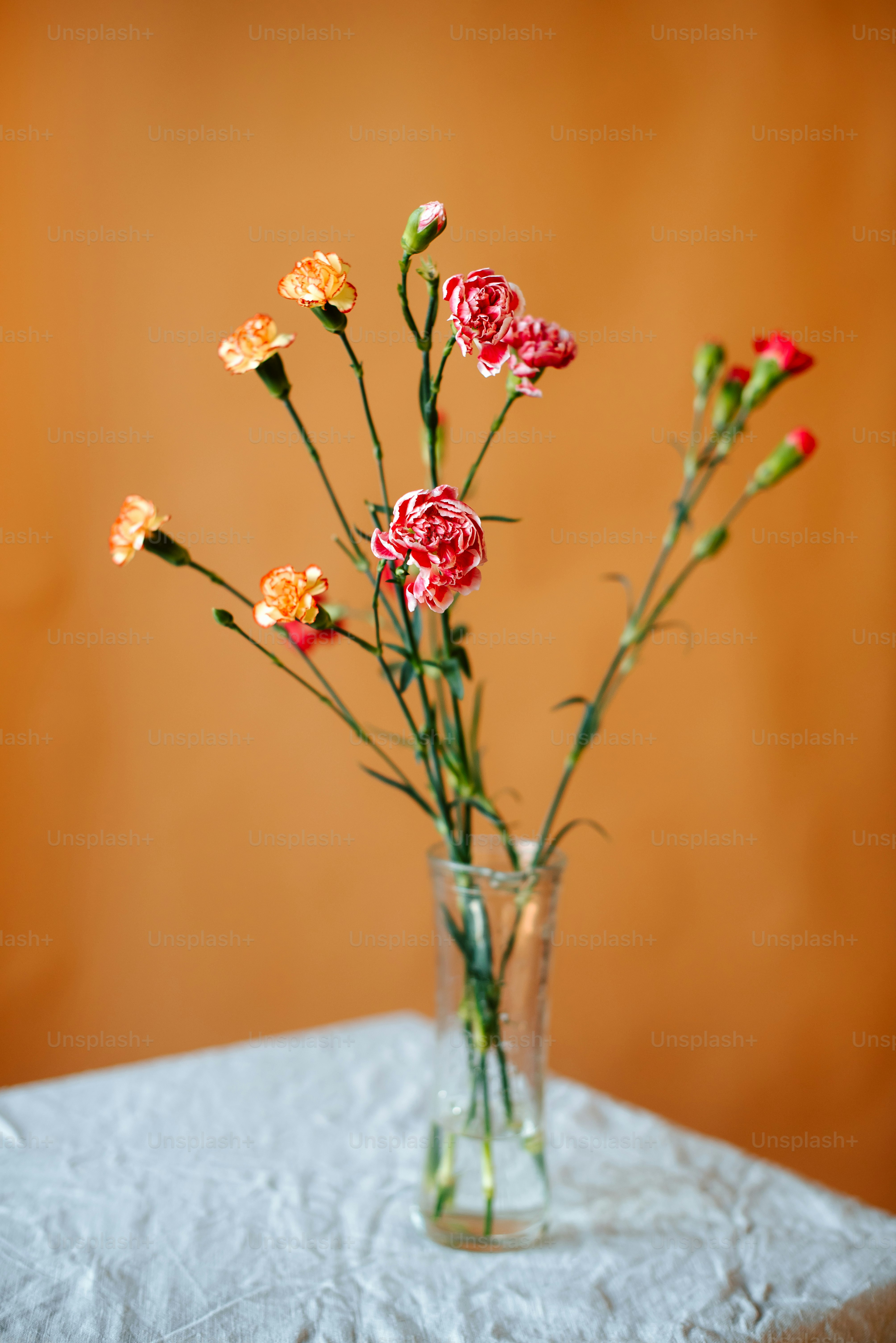 A white vase filled with pink and yellow flowers photo – Wallpaper ...