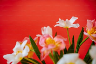 a vase filled with white and yellow flowers