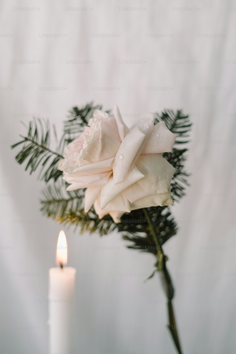 a single white rose sitting next to a lit candle