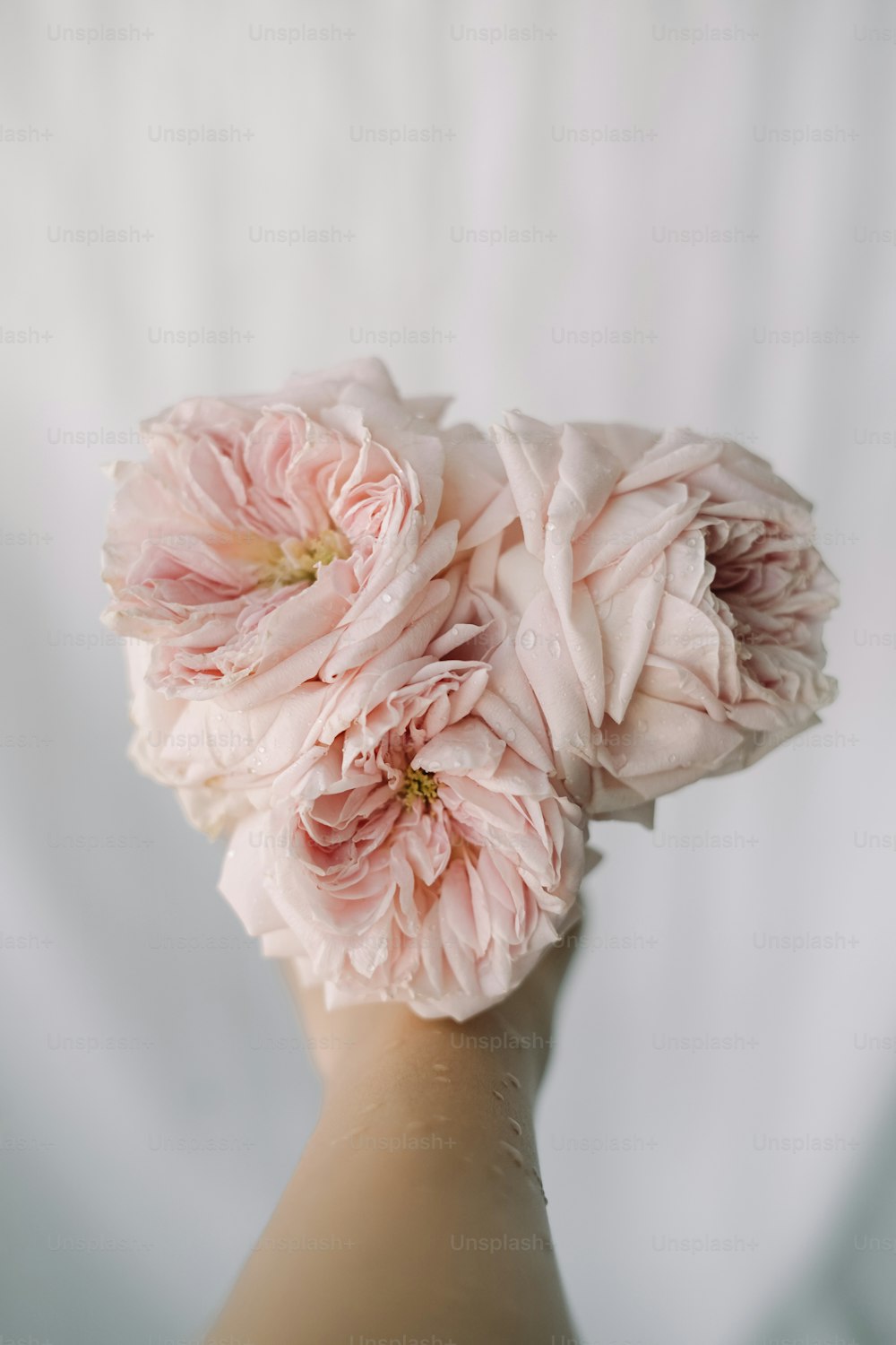 eine Hand, die einen Strauß rosa Blumen hält