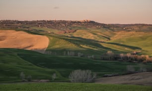 the rolling hills are green with trees in the foreground