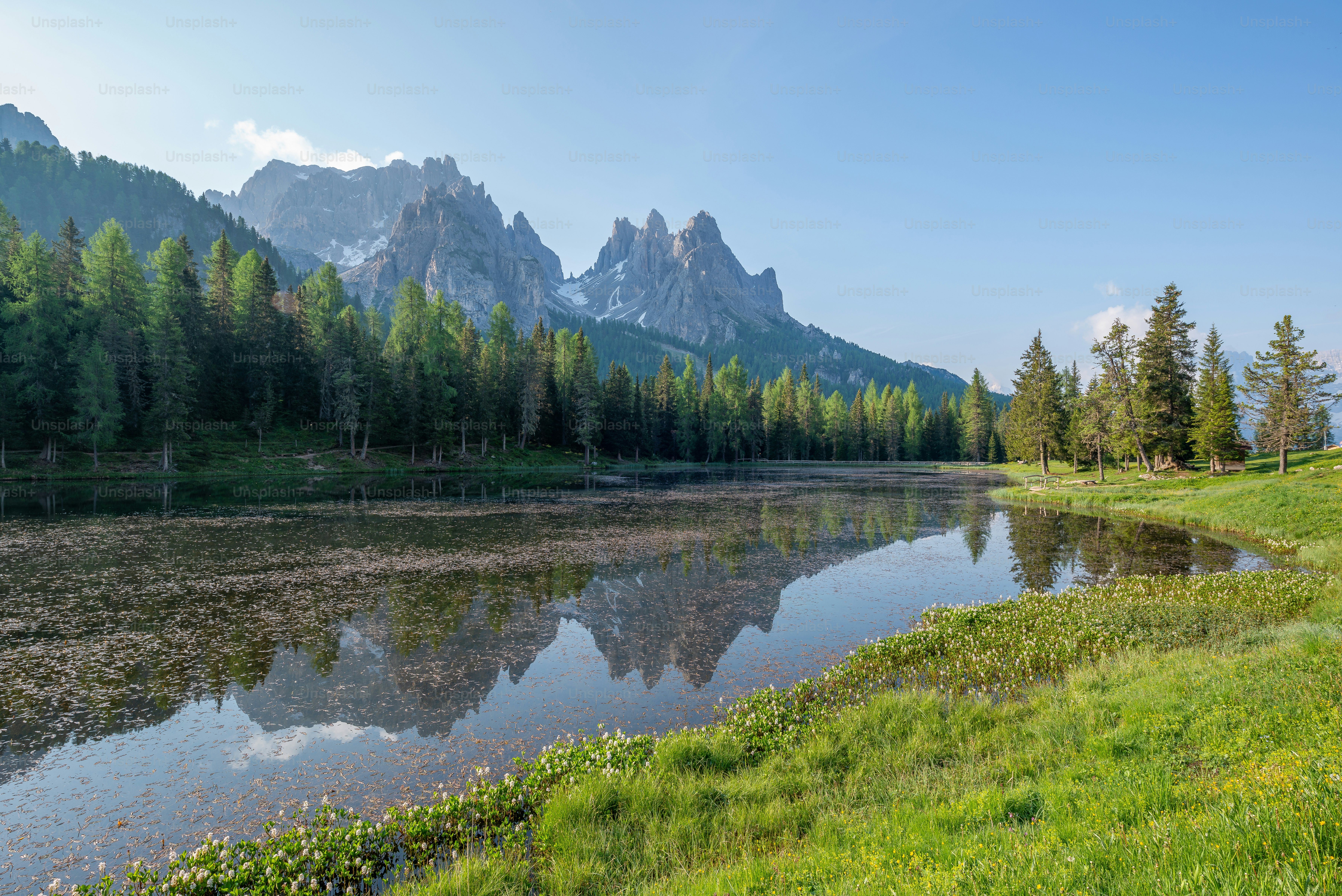 un lac entouré d’une forêt avec des montagnes en arrière-plan