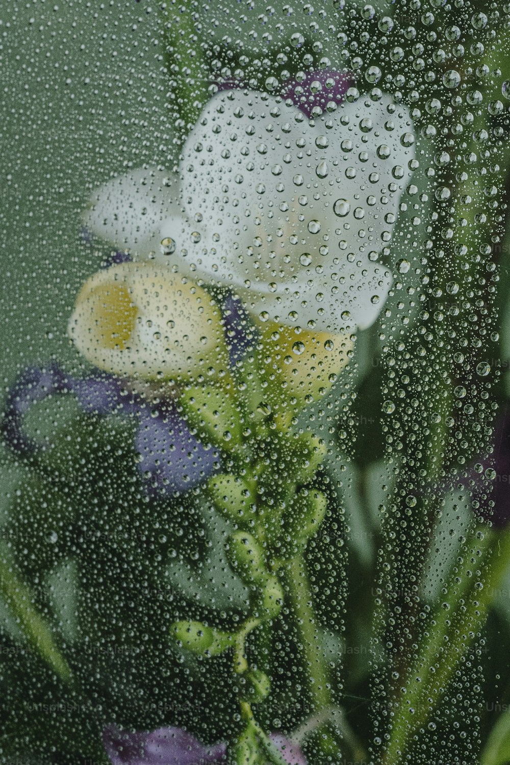 雨滴が描かれた窓のクローズアップ