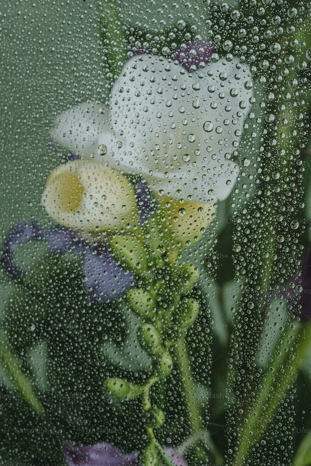 a close up of a window with raindrops on it