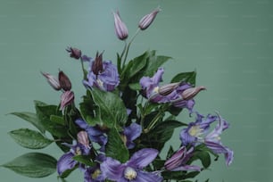 Un vaso pieno di fiori viola in cima a un tavolo