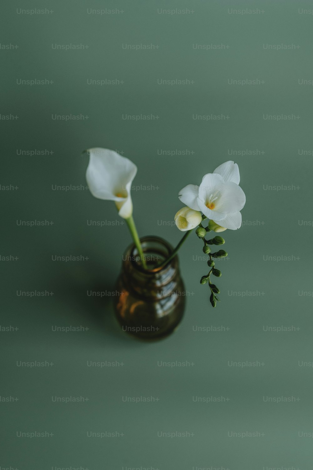two white flowers in a brown vase on a green background