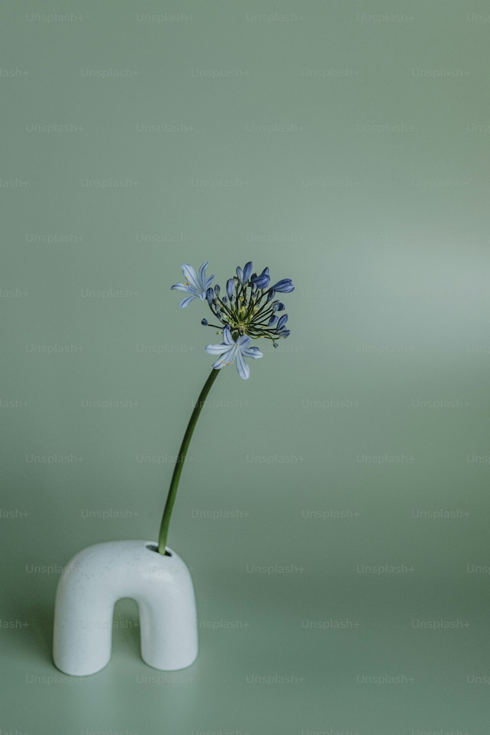 um vaso branco com uma flor azul nele