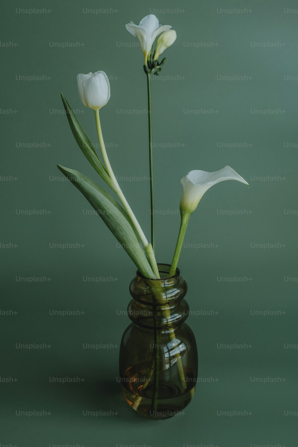 three white flowers in a brown vase on a green background
