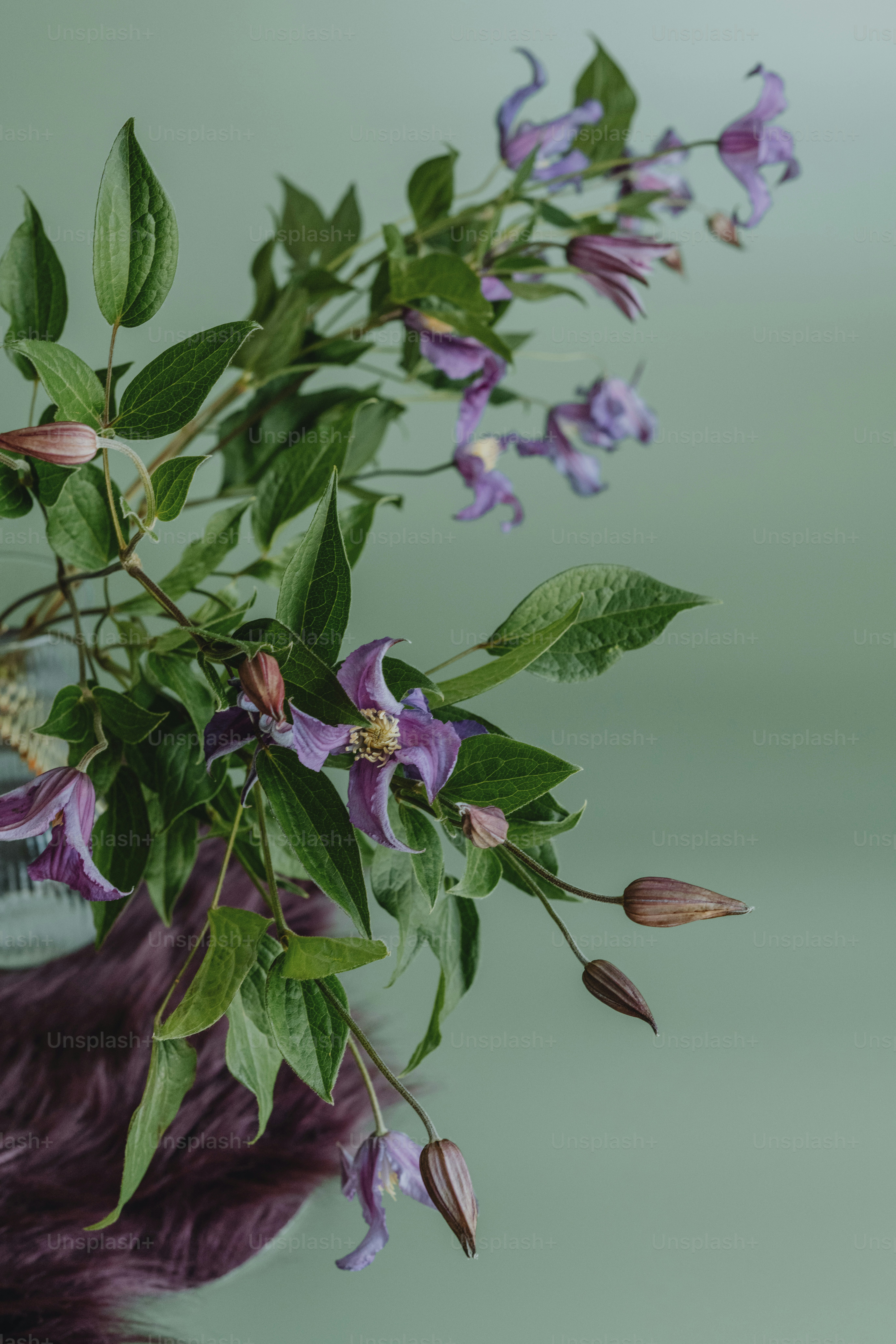a vase filled with purple flowers on top of a table