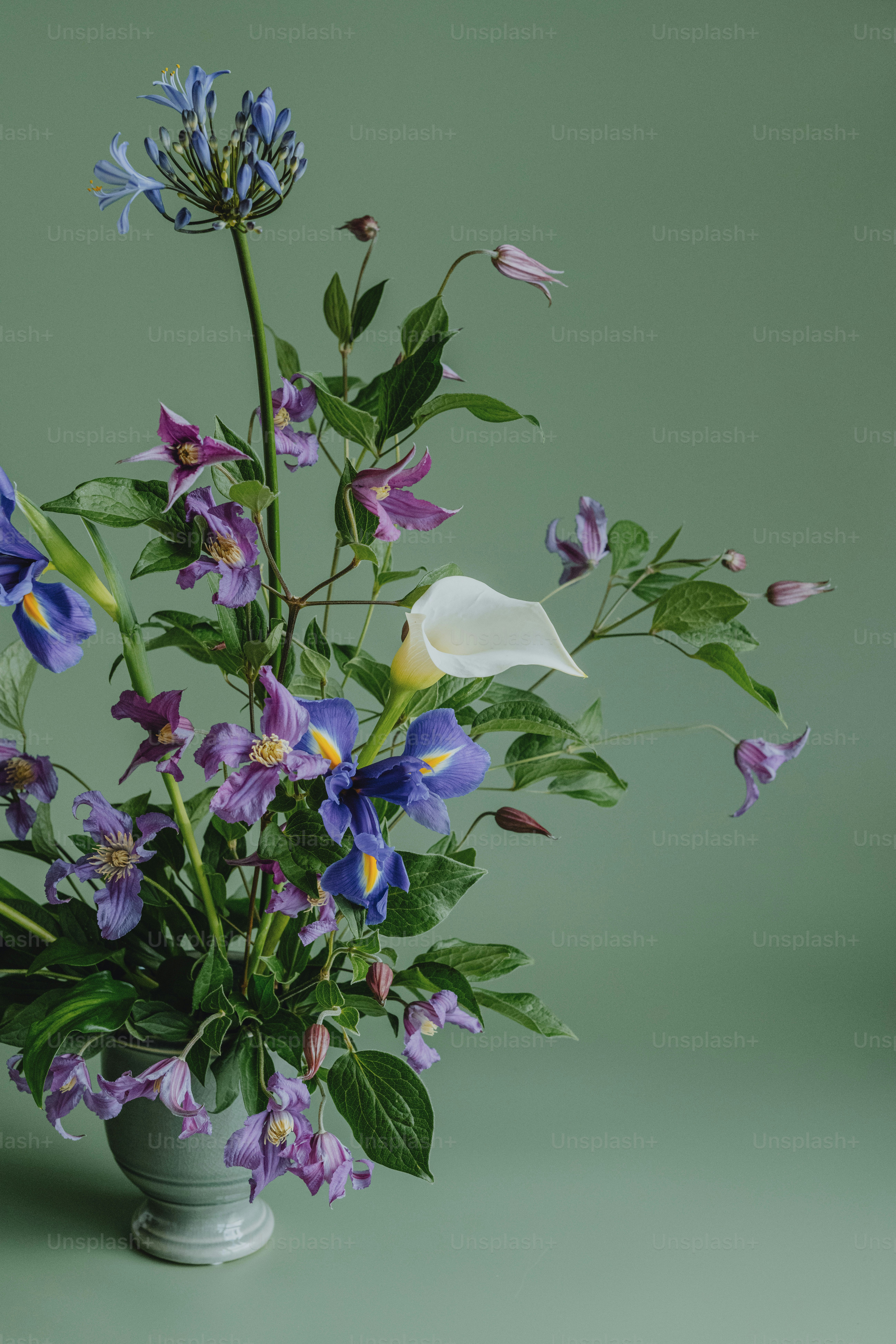 eine weiße Vase gefüllt mit lila und blauen Blumen