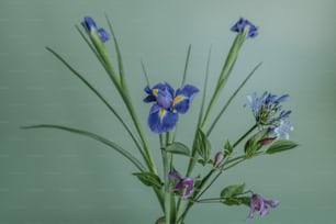 eine Vase gefüllt mit blauen Blumen auf einem Tisch