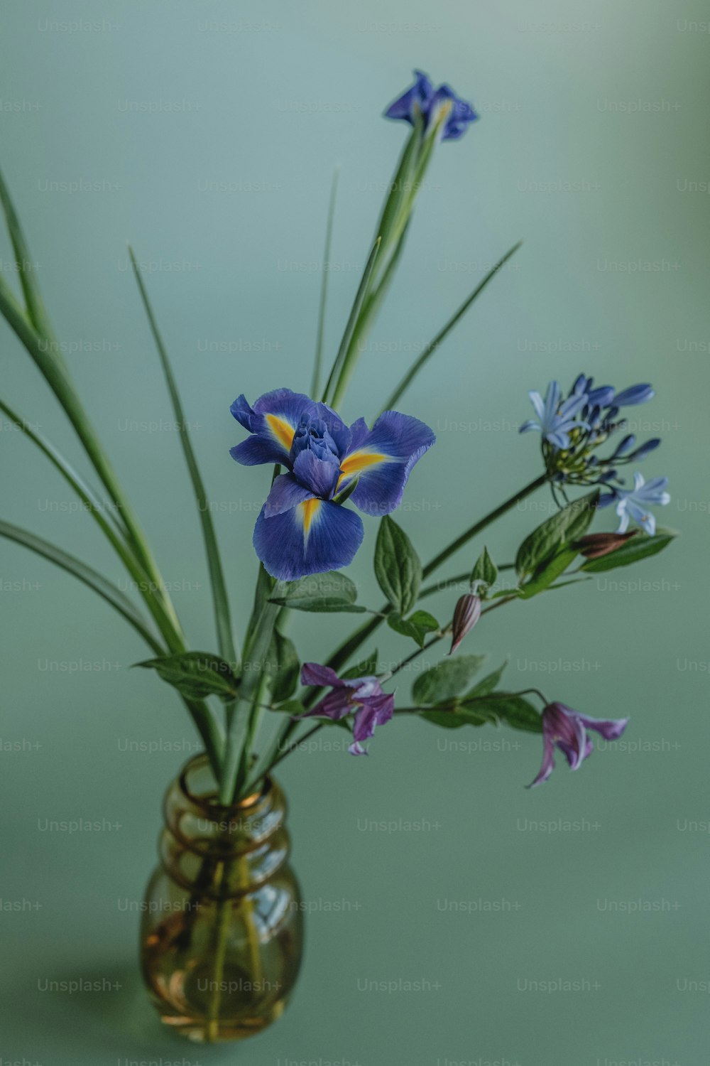 a vase filled with blue flowers on top of a table