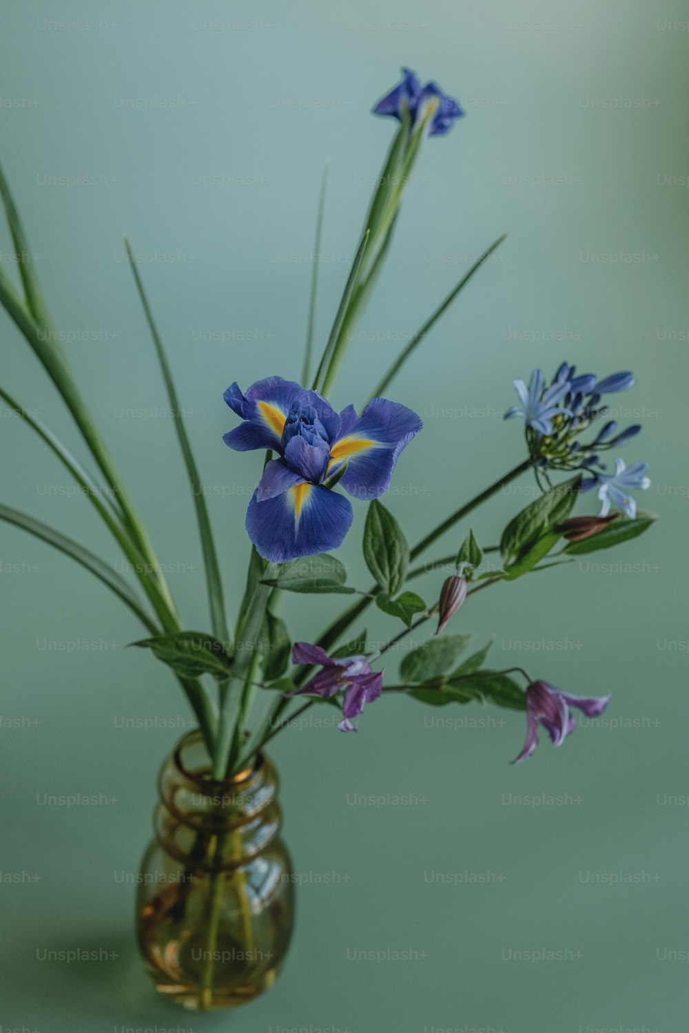un vaso pieno di fiori blu in cima a un tavolo
