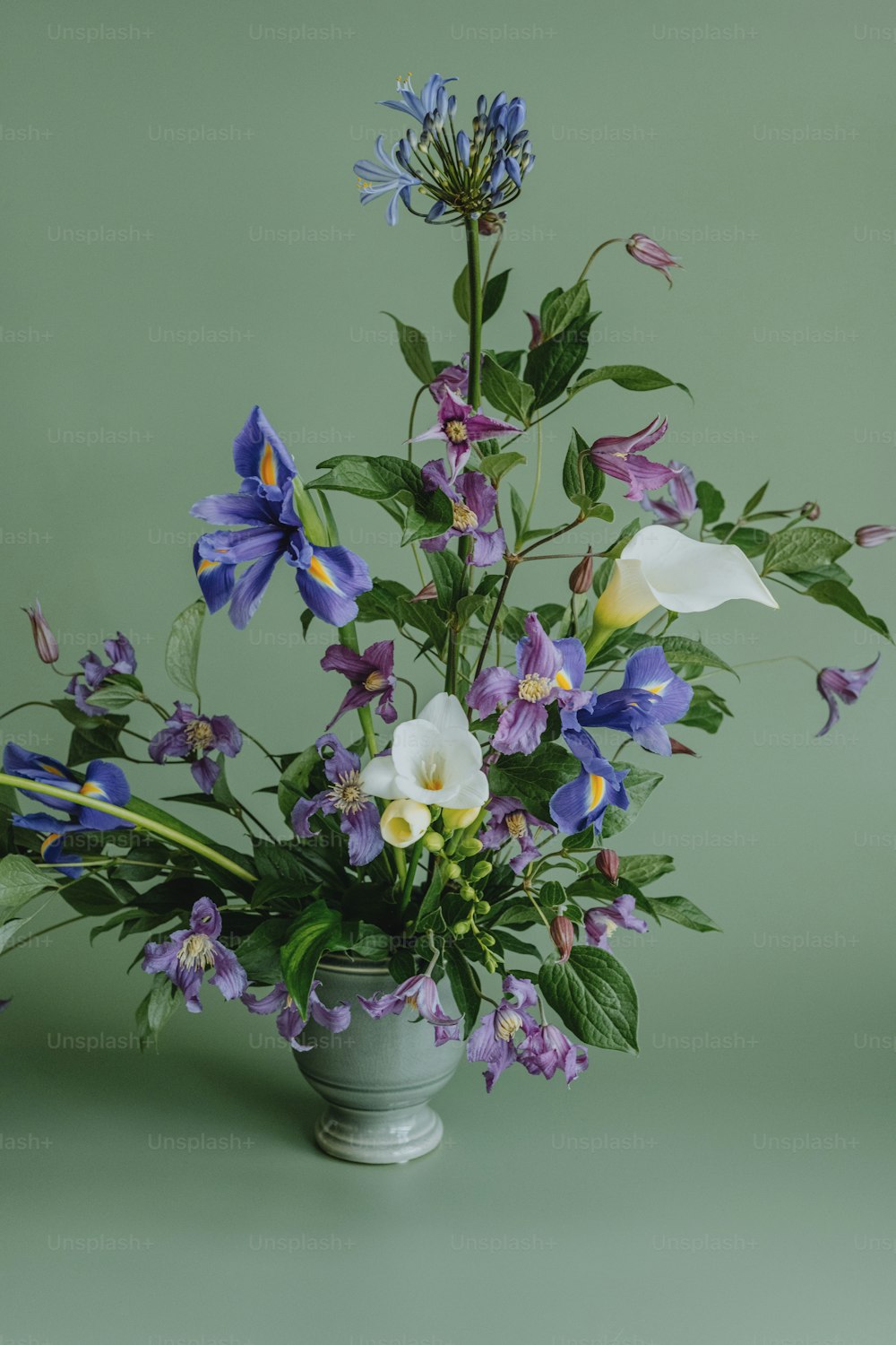 Un jarrón lleno de flores púrpuras y blancas