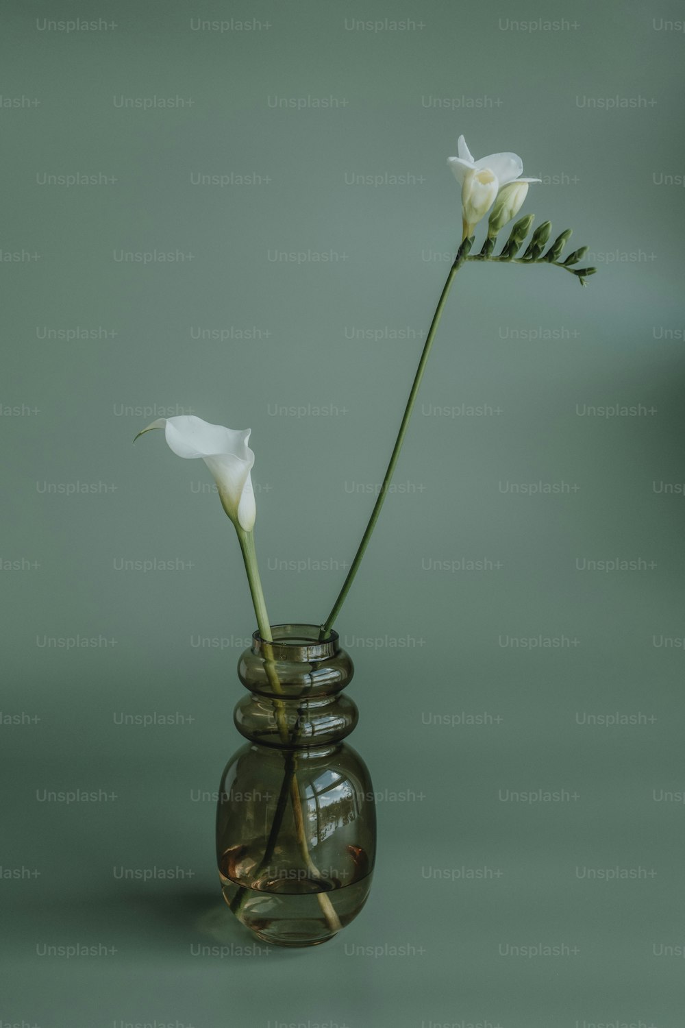 two white flowers in a glass vase on a table