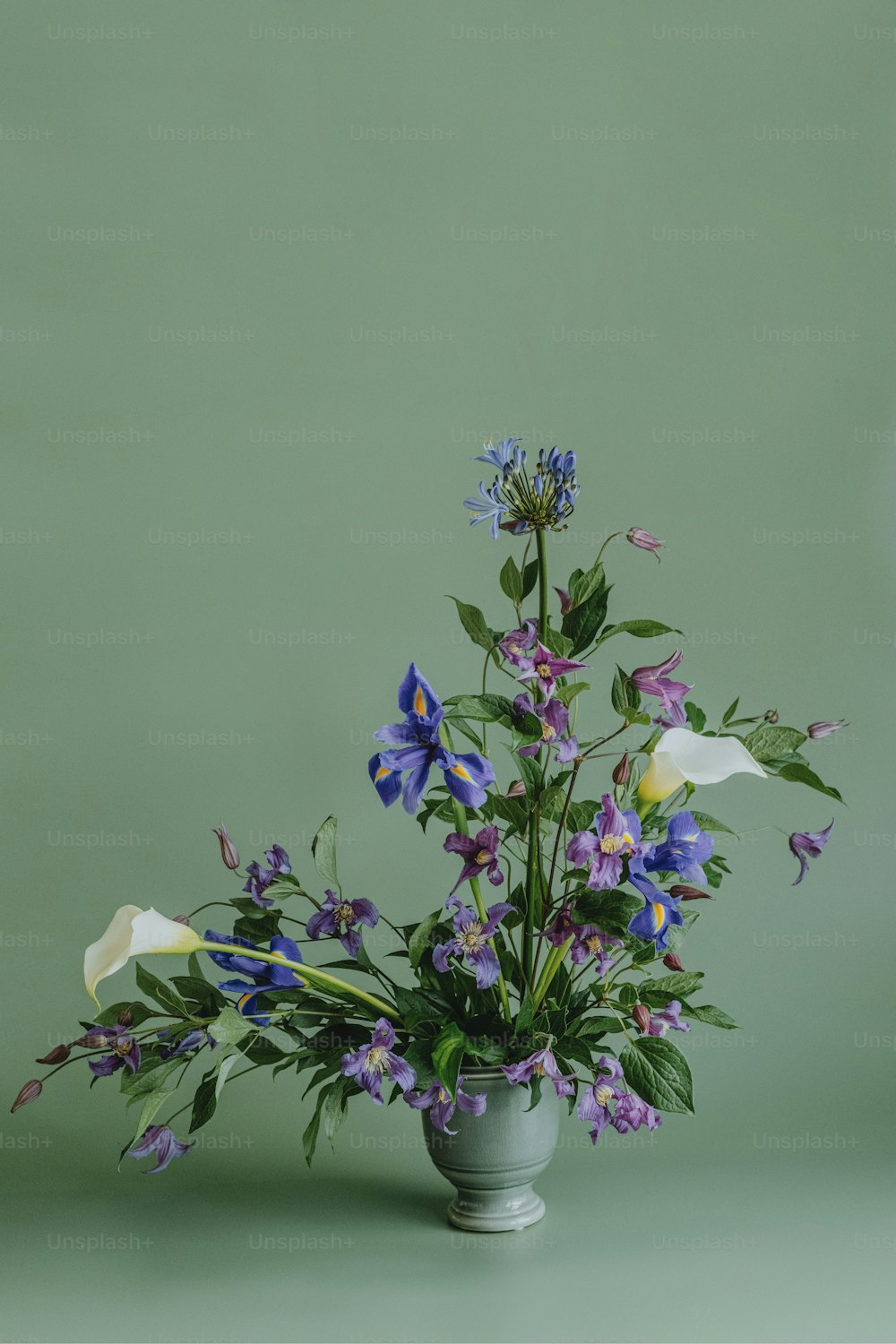 un vaso pieno di fiori viola e bianchi