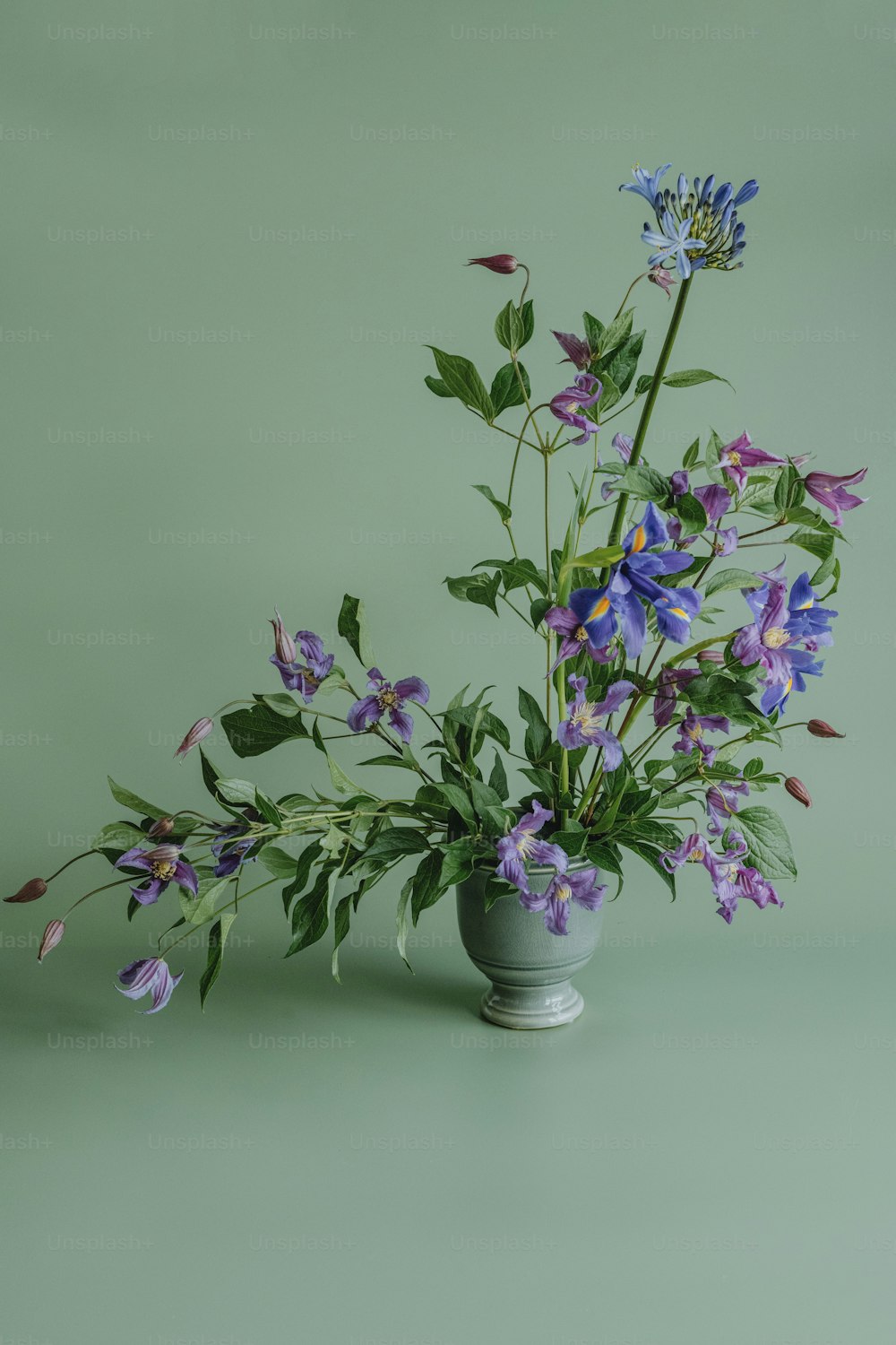 Un vaso pieno di fiori viola in cima a un tavolo