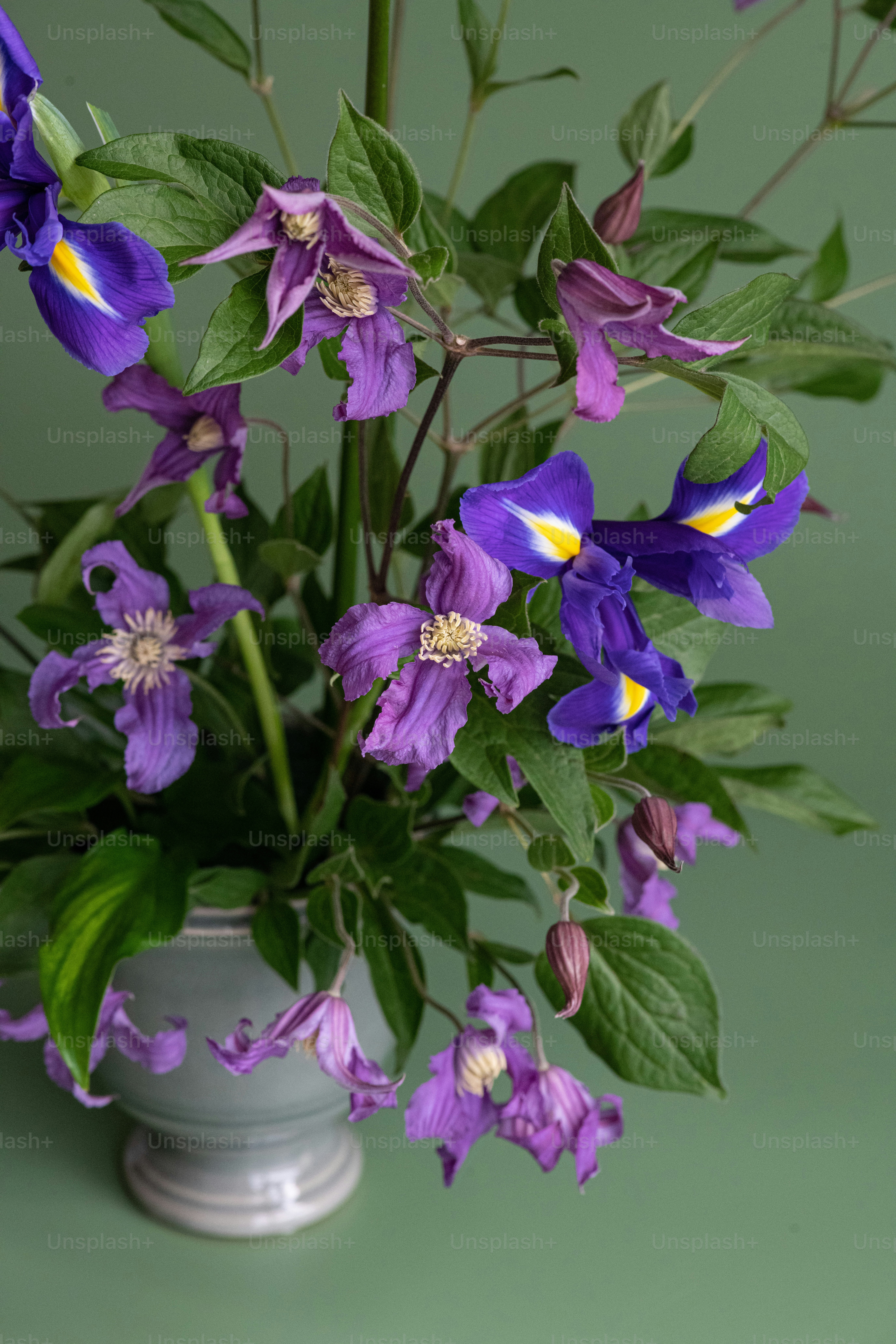 un vase rempli de fleurs violettes sur une table