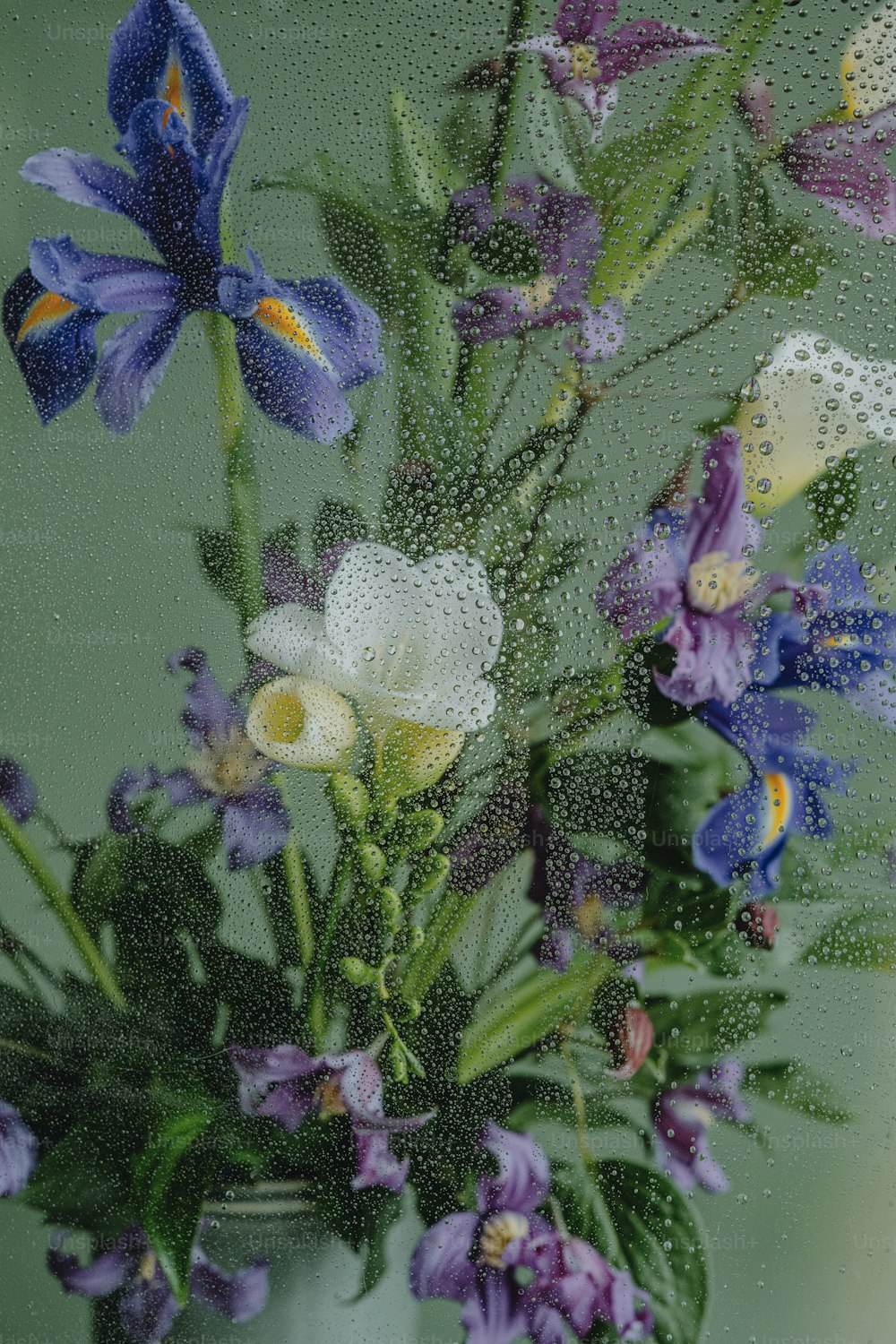 보라색과 흰색 꽃이 가득한 꽃병