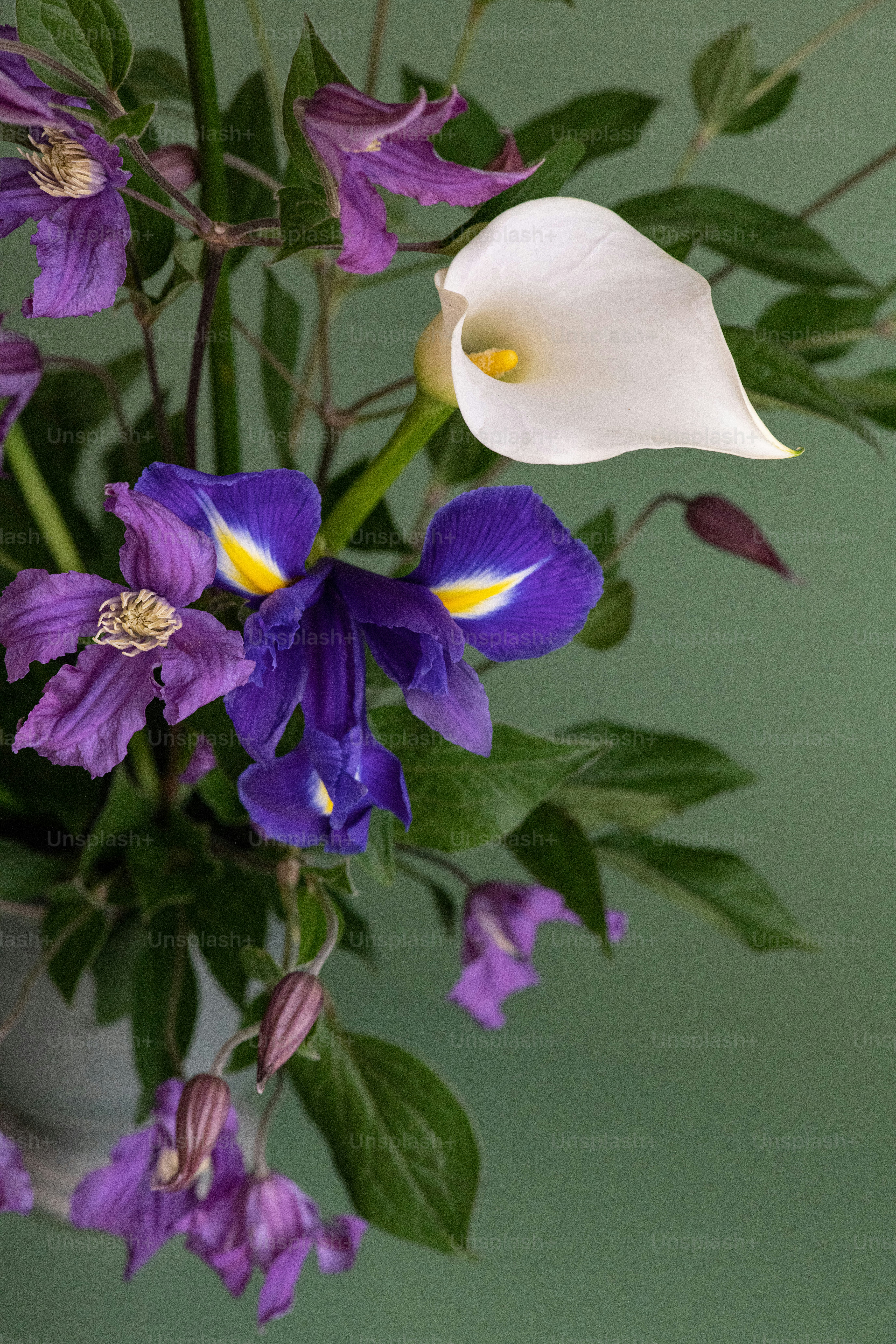 a vase filled with purple and white flowers