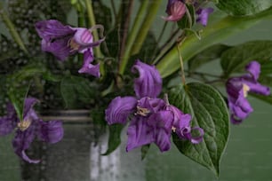 Un jarrón lleno de flores púrpuras encima de una mesa