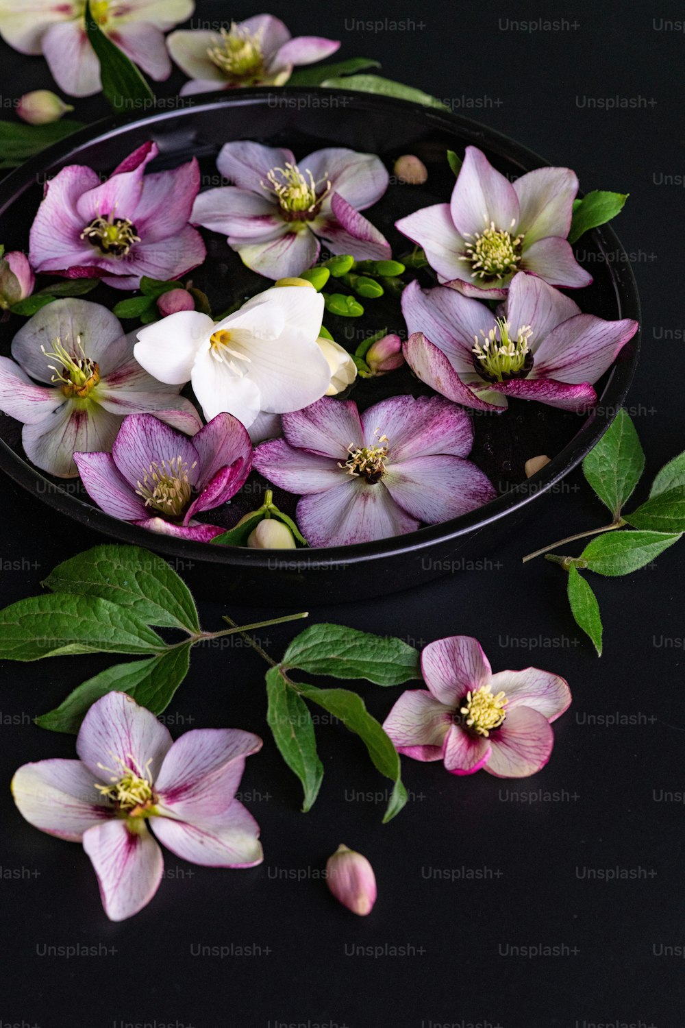 a black bowl filled with pink and white flowers