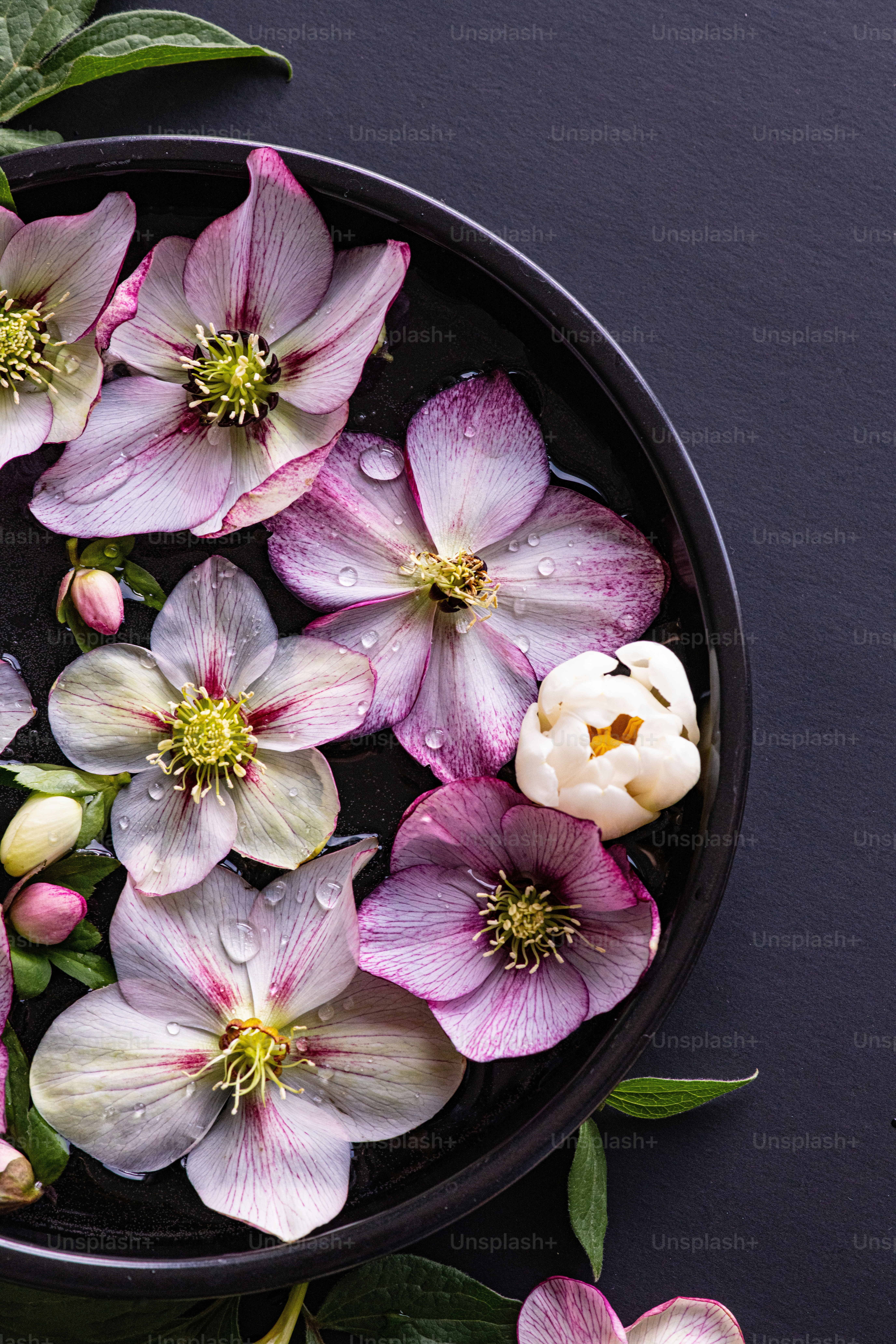 a bowl filled with water and flowers on top of a table