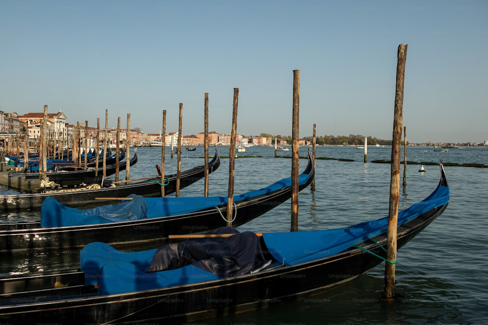 a row of gondolas tied to poles in the water