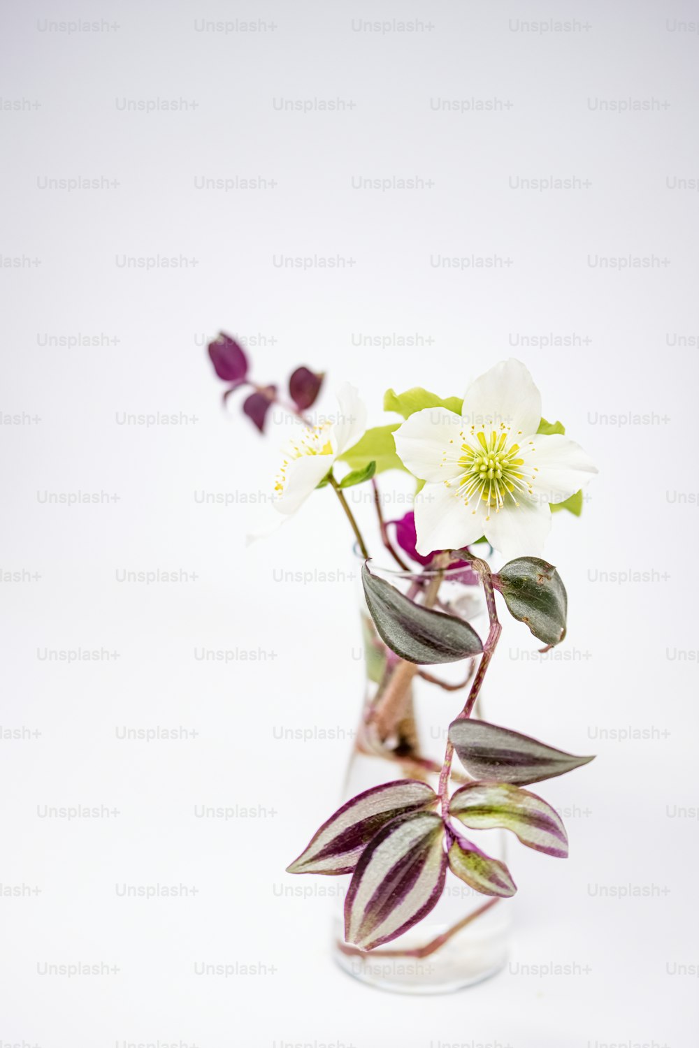 un vase en verre rempli de fleurs blanches et violettes
