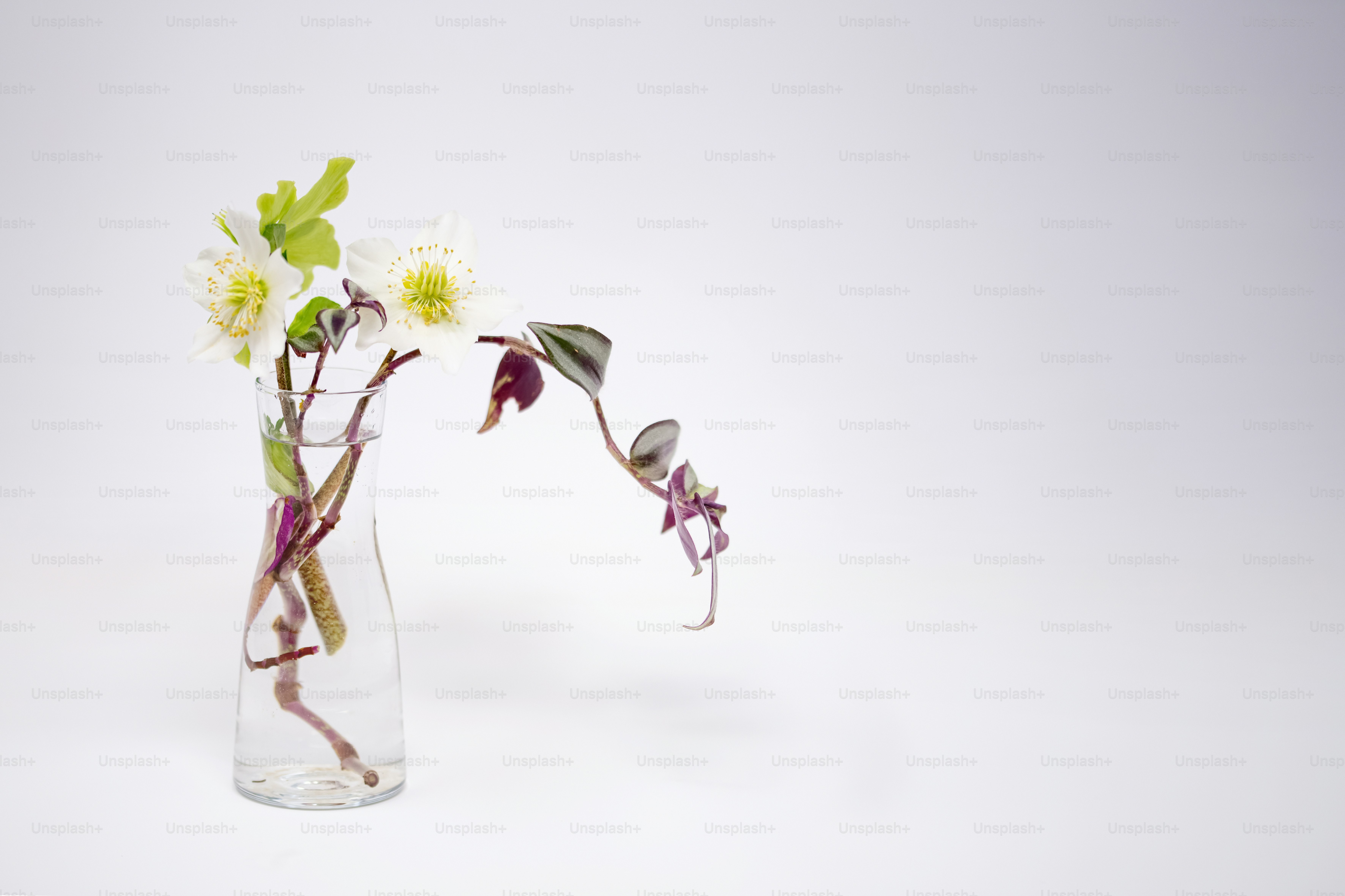 A glass vase filled with flowers on top of a table photo – Floral ...