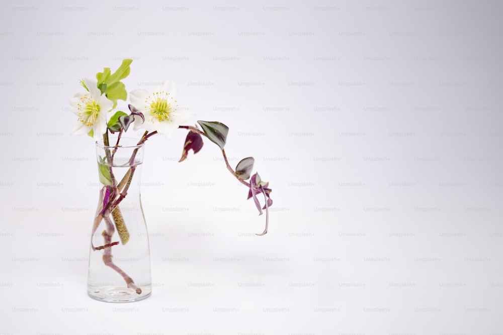 a glass vase filled with flowers on top of a table