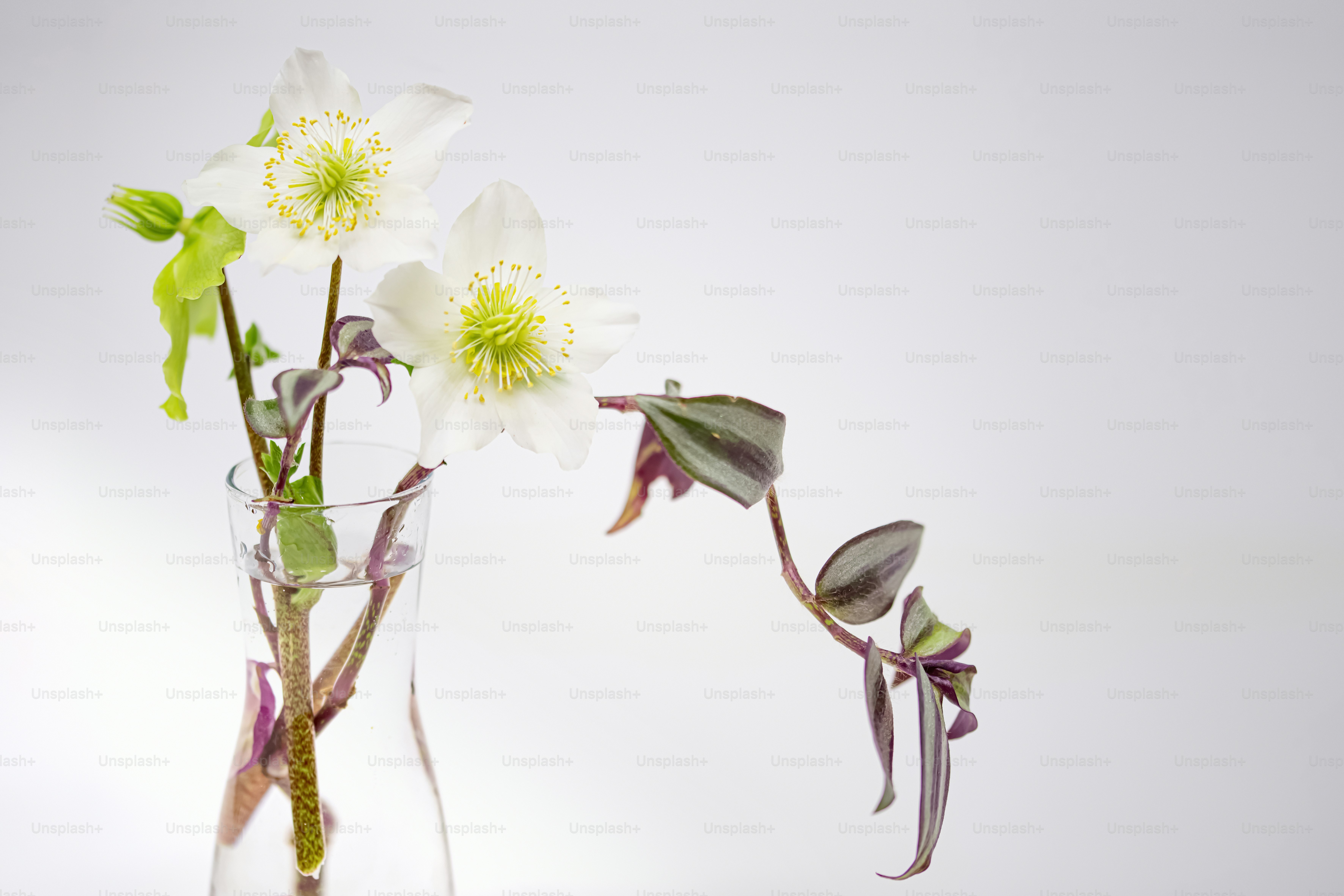 テーブルの上に白い花でいっぱいのガラスの花瓶