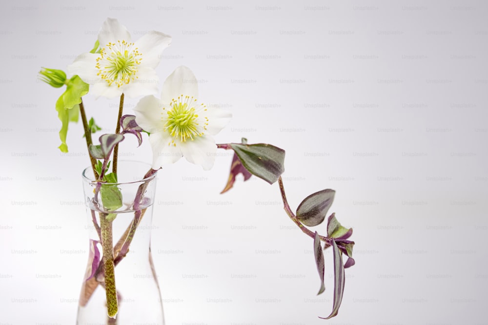 un vase en verre rempli de fleurs blanches sur une table