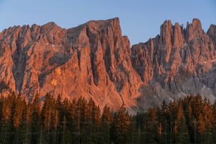 Une chaîne de montagnes avec des pins au premier plan