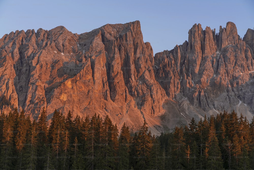 a mountain range with pine trees in the foreground