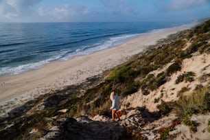 a person standing on a beach next to the ocean