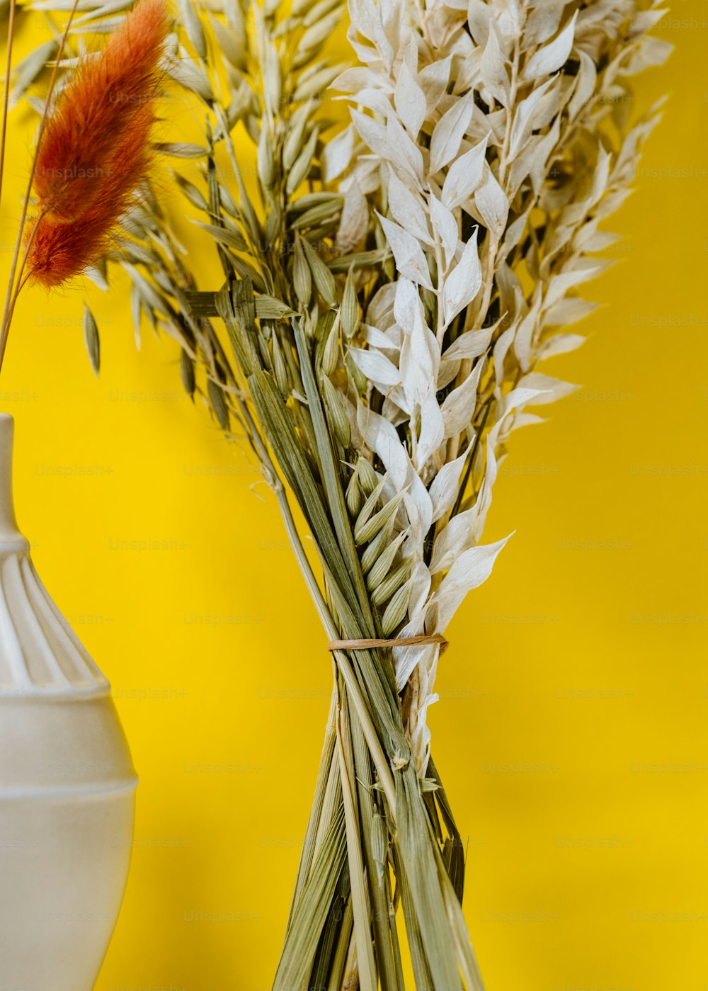 a white vase filled with white flowers on a yellow background