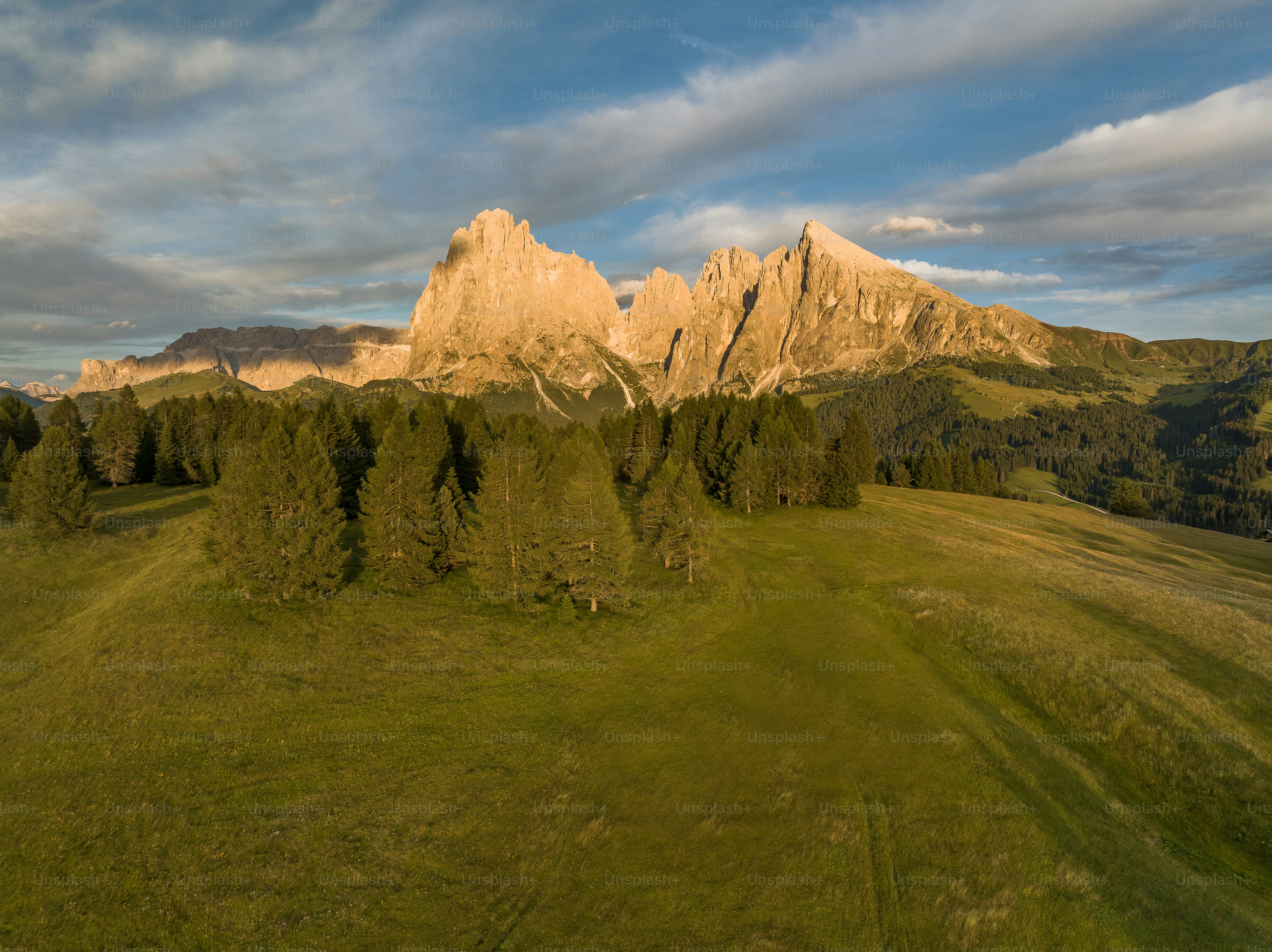 an aerial view of a grassy field with mountains in the background