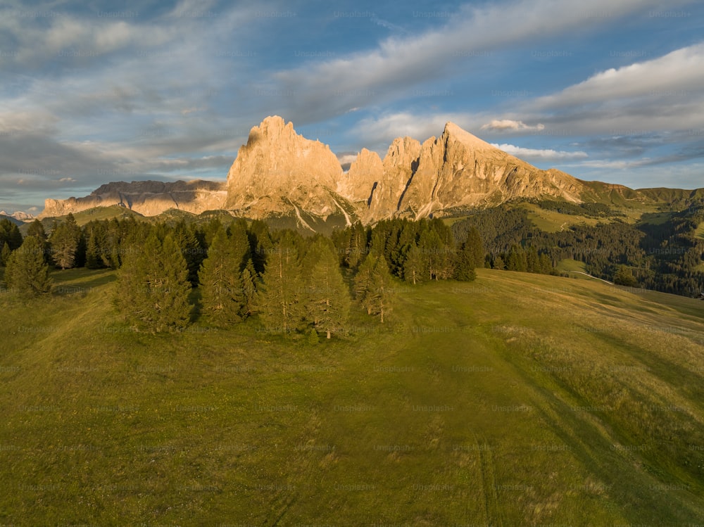 une vue aérienne d’un champ herbeux avec des montagnes en arrière-plan