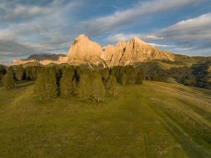 an aerial view of a grassy field with mountains in the background