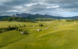 Un rigoglioso campo verde con una catena montuosa sullo sfondo