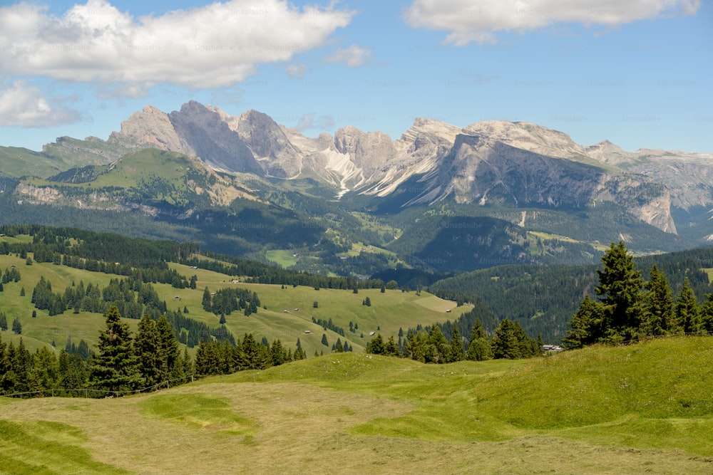 a view of a valley with mountains in the background