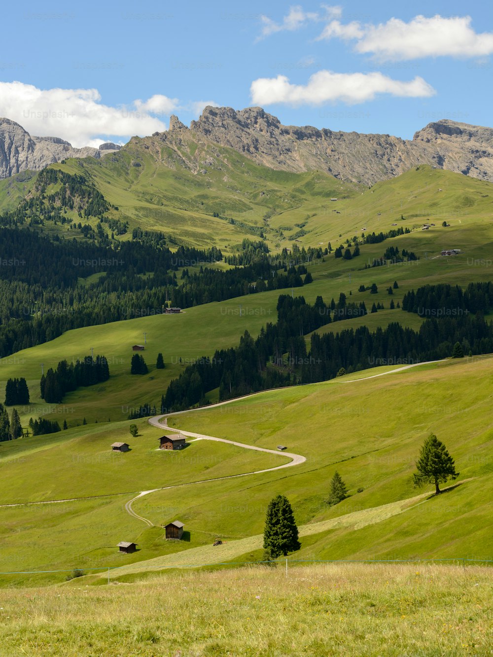 a lush green hillside covered in lots of trees