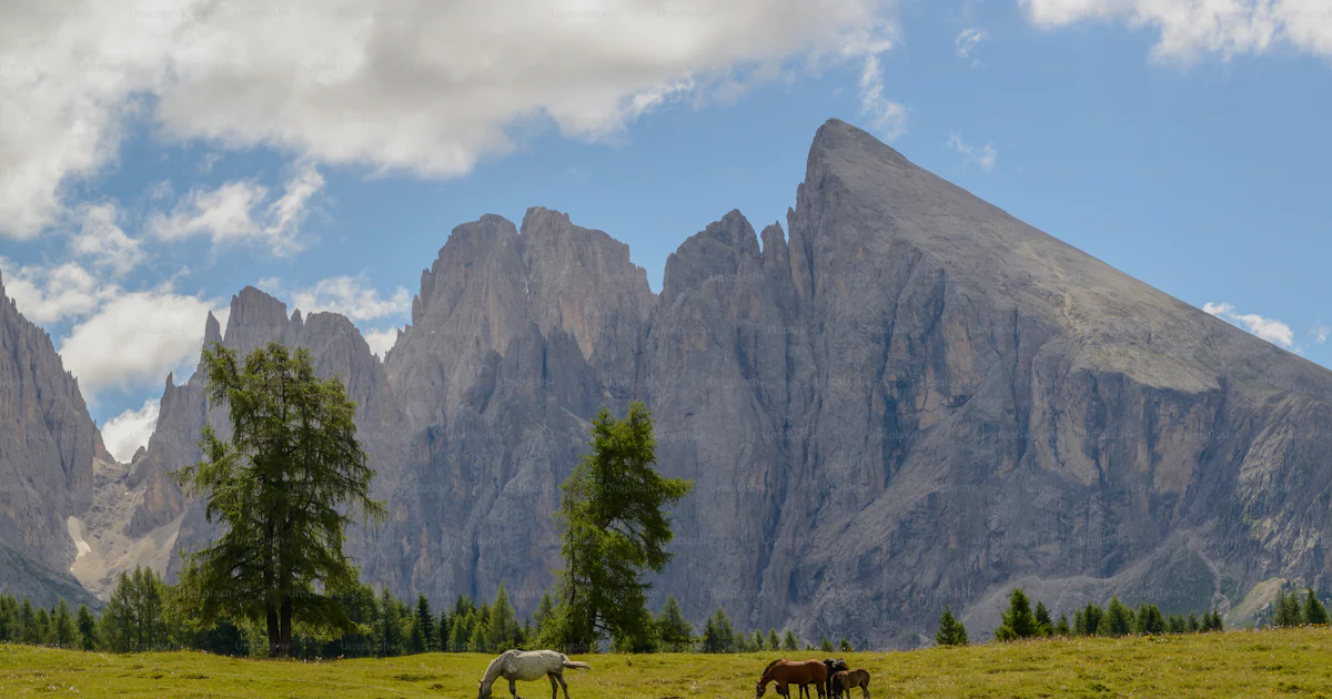 Grasen Foto zum Thema Zwei Pferde grasen auf einem Feld mit Bergen im ...