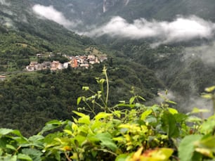 a scenic view of a village in the mountains