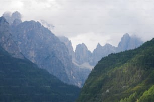 um grupo de montanhas com árvores em primeiro plano