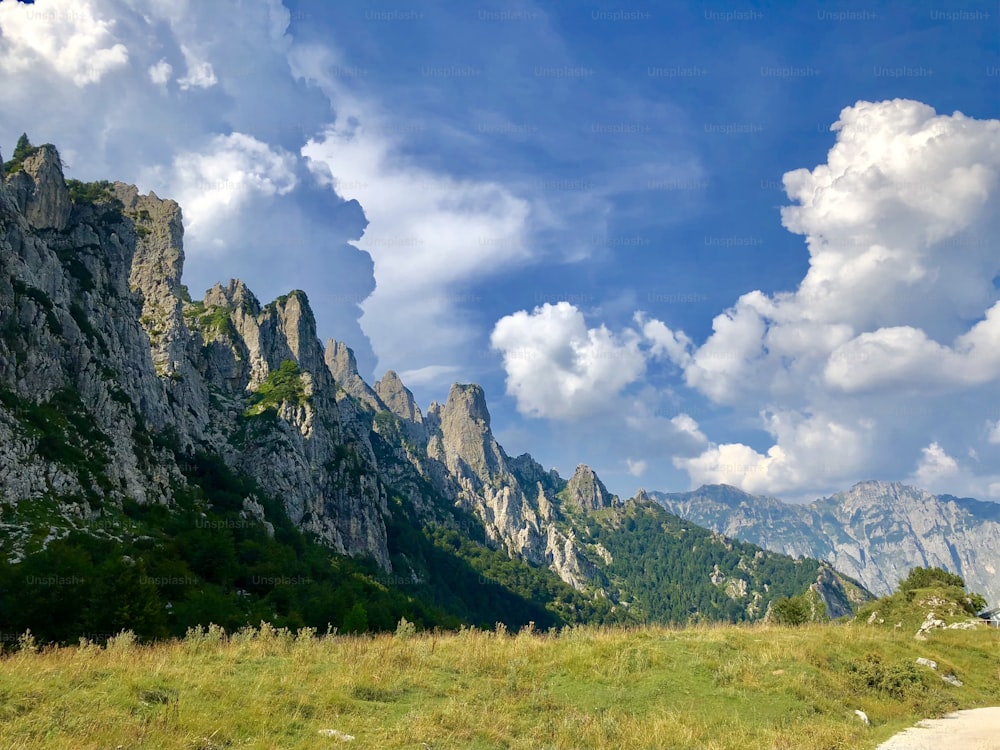 a grassy field with mountains in the background