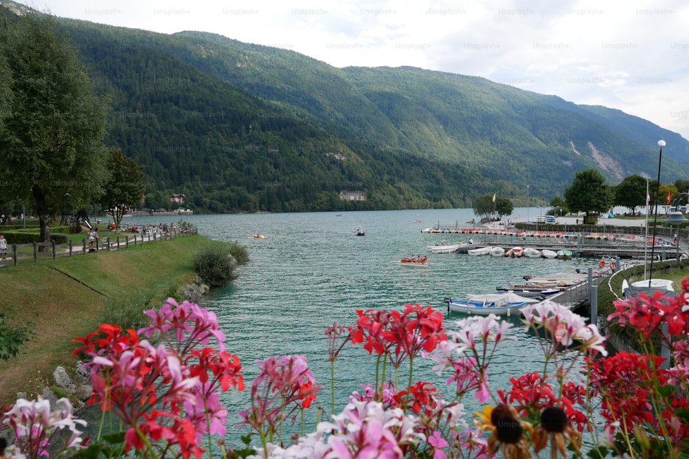 a body of water surrounded by mountains and flowers