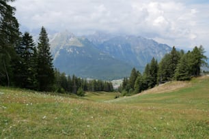 a grassy field with trees and mountains in the background